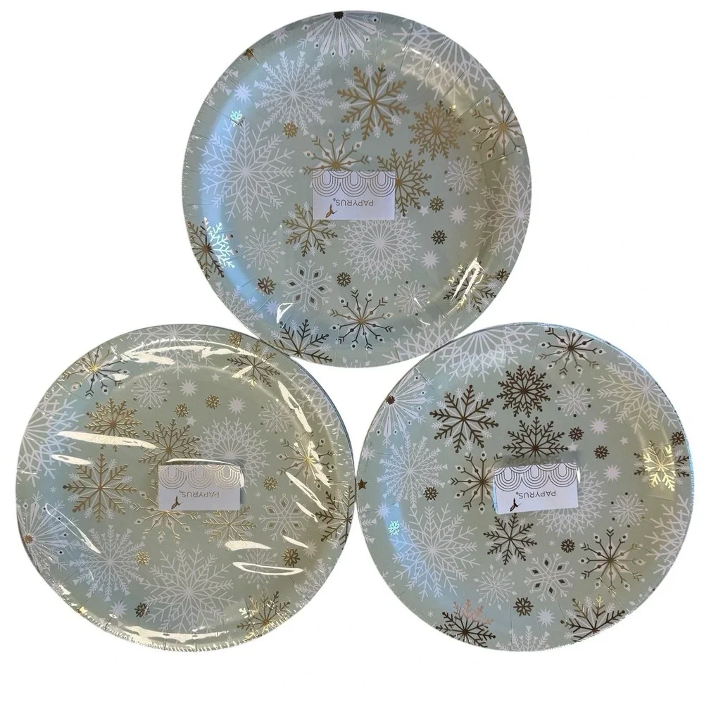PAPYRUS Winter Sage Snowflake 48 Dinner Plates 10